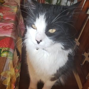 Meet your Posher, Valeria